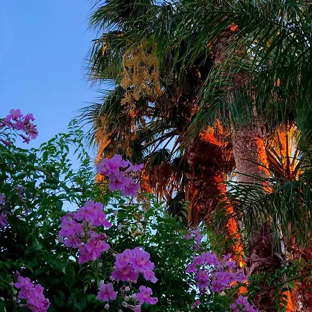 酒店 Les Cyclades 勒拉旺杜