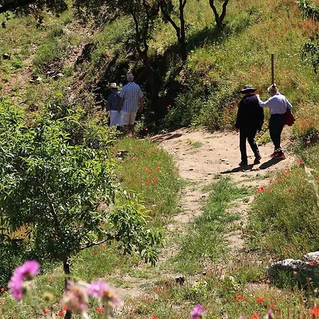 Résidence Les Cyclades Hotel Le Lavandou