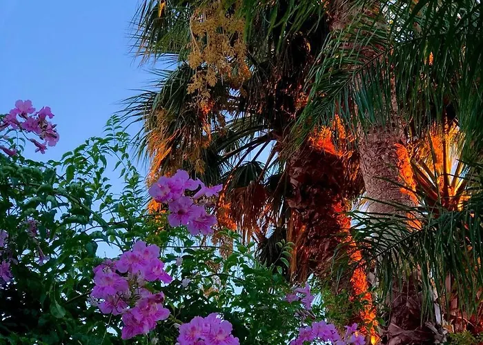 Hotel Résidence Les Cyclades Le Lavandou