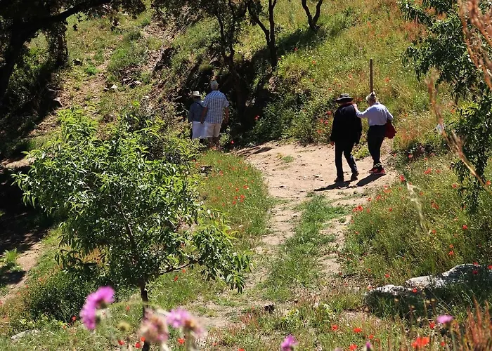 Résidence Les Cyclades Hotel Le Lavandou