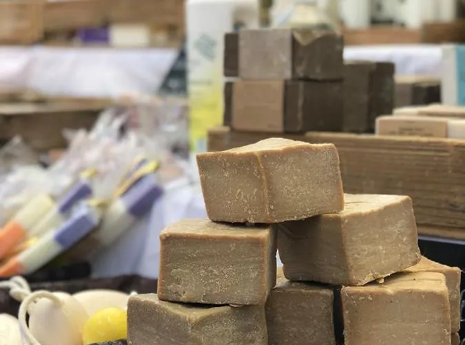 Résidence Les Cyclades