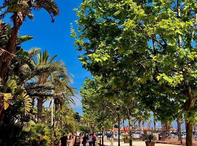 Hotel Résidence Les Cyclades Le Lavandou